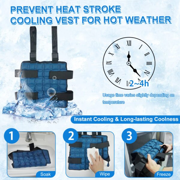 Cooling Vest by WORLD-BIO for Men & Women - Adjustable Cooling Ice Vest for Motorcycle, Workers, Sports, Outdoor - 图片 4
