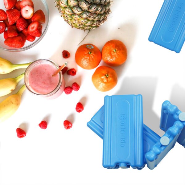 WORLD-BIO Ice Packs for Lunch Boxes & Coolers - 图片 7