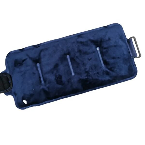 World-bio Lumbar Ice Pack for Waist Muscle Pain - 图片 2