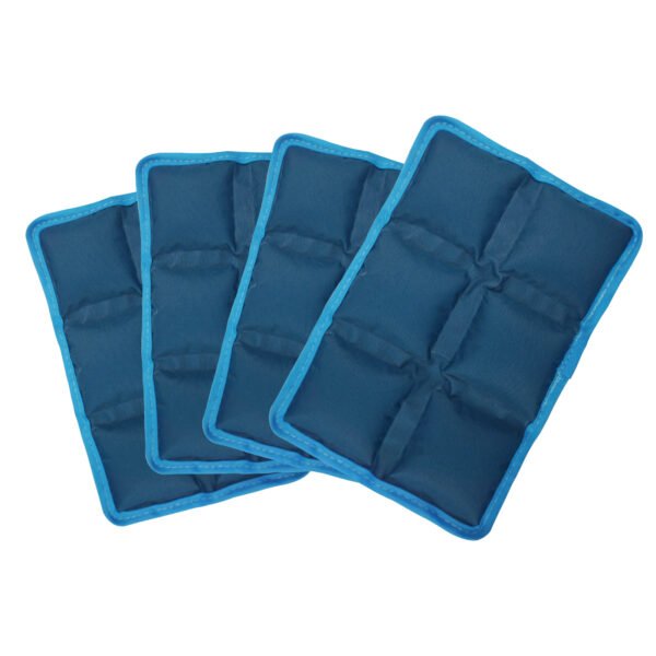 Cooler Ice Pack for Food Freshness