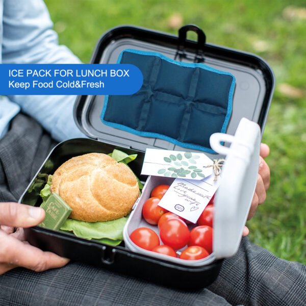 Cooler Ice Pack for Food Freshness - 图片 7