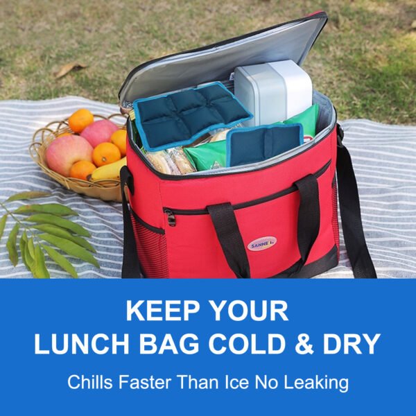 Cooler Ice Pack for Food Freshness - 图片 5
